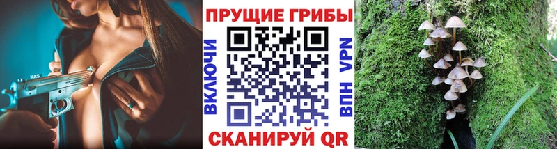 Галлюциногенные грибы Cubensis  хочу наркоту  Юрюзань 